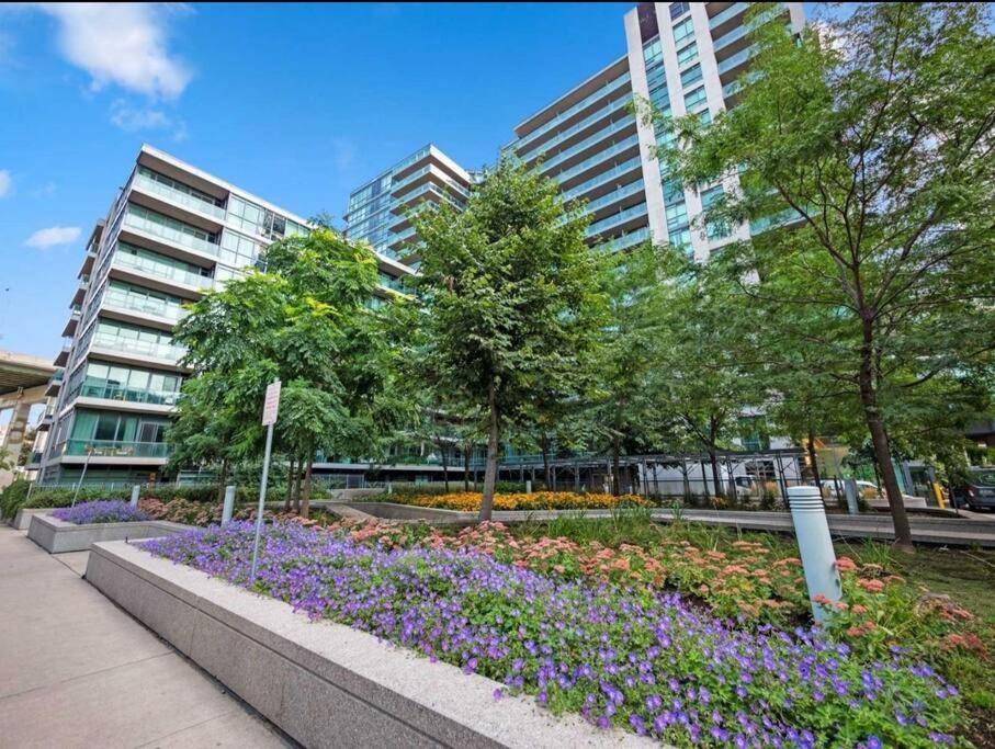 Cn Tower View With Free Parking, Pool, & More Amenities Toronto Exteriör bild